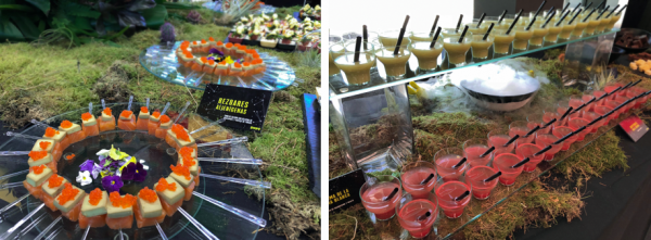 evento-para-la-presentaci-n-de-syfy-en-las-oficinas-de-vodafone-fluor